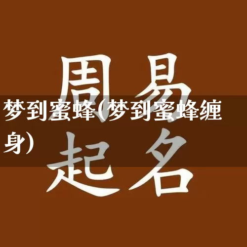 梦到蜜蜂(梦到蜜蜂缠身)_https://www.dao-sheng-yuan.com_周公解梦_第1张