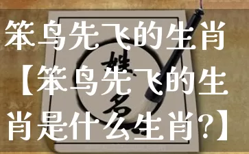 笨鸟先飞的生肖【笨鸟先飞的生肖是什么生肖?】_https://www.dao-sheng-yuan.com_道源国学_第1张