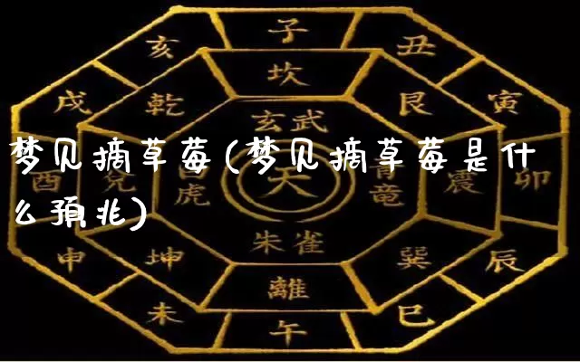 梦见摘草莓(梦见摘草莓是什么预兆)_https://www.dao-sheng-yuan.com_十二星座_第1张