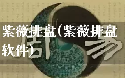 紫薇排盘(紫薇排盘软件)_https://www.dao-sheng-yuan.com_道源国学_第1张
