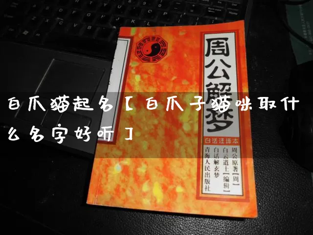 白爪猫起名【白爪子猫咪取什么名字好听】_https://www.dao-sheng-yuan.com_起名_第1张