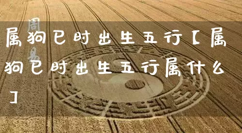 属狗巳时出生五行【属狗巳时出生五行属什么】_https://www.dao-sheng-yuan.com_生肖属相_第1张