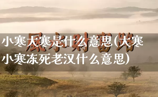 小寒大寒是什么意思(大寒小寒冻死老汉什么意思)_https://www.dao-sheng-yuan.com_十二星座_第1张