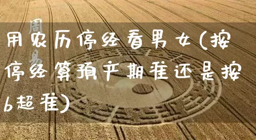 用农历停经看男女(按停经算预产期准还是按b超准)_https://www.dao-sheng-yuan.com_五行_第1张