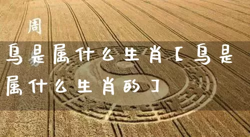 鸟是属什么生肖【鸟是属什么生肖的】_https://www.dao-sheng-yuan.com_八字_第1张