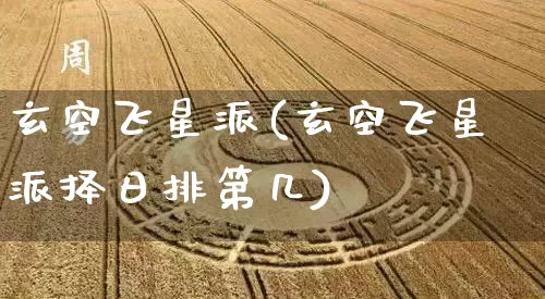 玄空飞星派(玄空飞星派择日排第几)_https://www.dao-sheng-yuan.com_五行_第1张