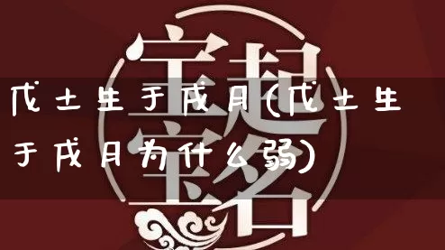 戊土生于戌月(戊土生于戌月为什么弱)_https://www.dao-sheng-yuan.com_起名_第1张