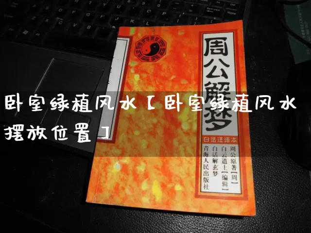 卧室绿植风水【卧室绿植风水摆放位置】_https://www.dao-sheng-yuan.com_风水_第1张