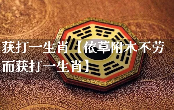 获打一生肖【依草附木不劳而获打一生肖】_https://www.dao-sheng-yuan.com_五行_第1张