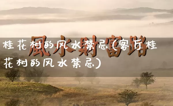 桂花树的风水禁忌(客厅桂花树的风水禁忌)_https://www.dao-sheng-yuan.com_道源国学_第1张