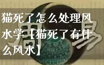 猫死了怎么处理风水学【猫死了有什么风水】_https://www.dao-sheng-yuan.com_道源国学_第1张