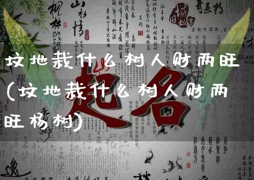 坟地栽什么树人财两旺(坟地栽什么树人财两旺杨树)_https://www.dao-sheng-yuan.com_风水_第1张