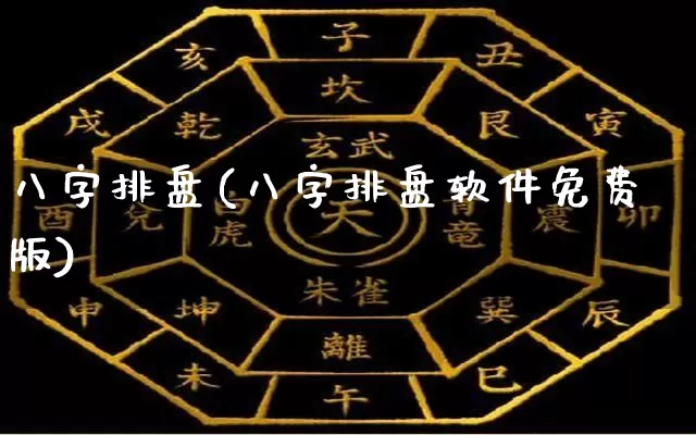 八字排盘(八字排盘软件免费版)_https://www.dao-sheng-yuan.com_八字_第1张