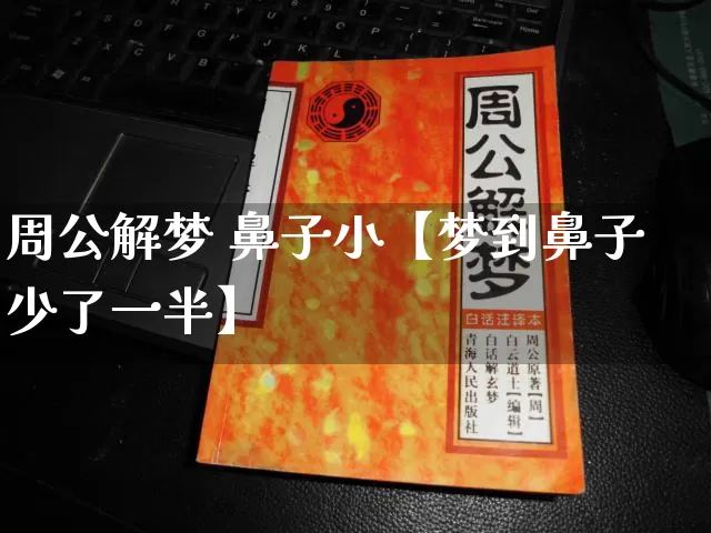 周公解梦 鼻子小【梦到鼻子少了一半】_https://www.dao-sheng-yuan.com_道源国学_第1张
