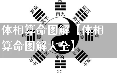 体相算命图解【体相算命图解大全】_https://www.dao-sheng-yuan.com_起名_第1张