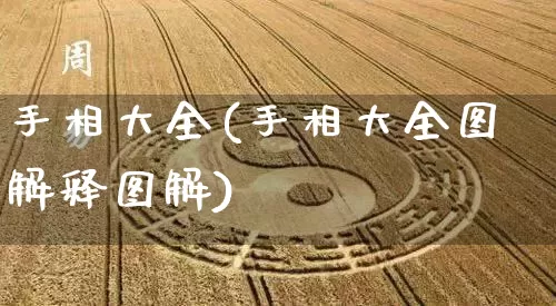 手相大全(手相大全图解释图解)_https://www.dao-sheng-yuan.com_起名_第1张