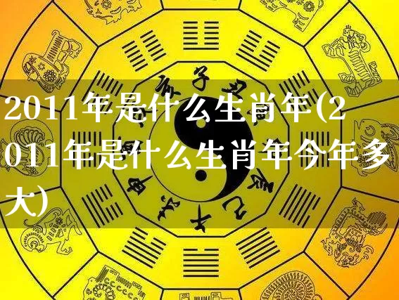 2011年是什么生肖年(2011年是什么生肖年今年多大)_https://www.dao-sheng-yuan.com_周公解梦_第1张