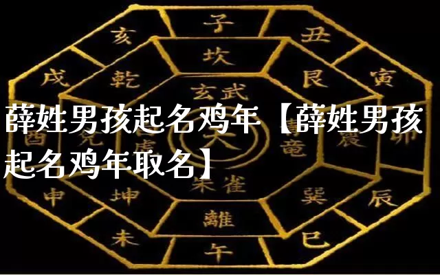 薛姓男孩起名鸡年【薛姓男孩起名鸡年取名】_https://www.dao-sheng-yuan.com_十二星座_第1张