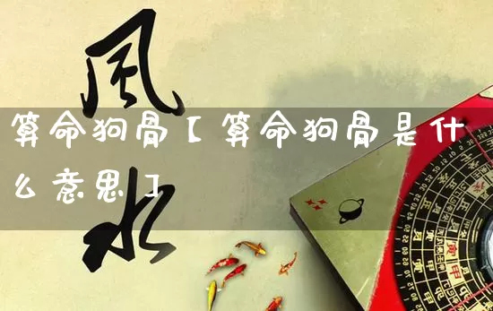 算命狗骨【算命狗骨是什么意思】_https://www.dao-sheng-yuan.com_算命_第1张