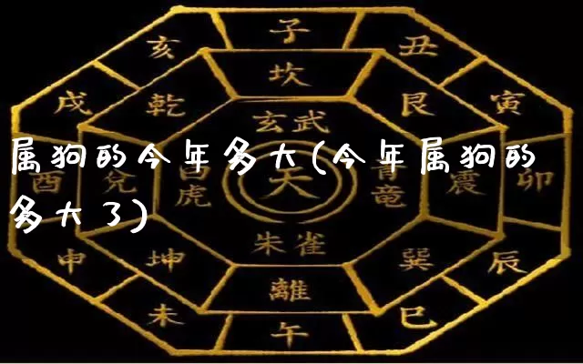 属狗的今年多大(今年属狗的多大了)_https://www.dao-sheng-yuan.com_八字_第1张