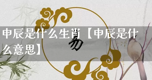 申辰是什么生肖【申辰是什么意思】_https://www.dao-sheng-yuan.com_十二星座_第1张