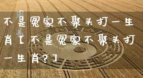 不是冤家不聚头打一生肖【不是冤家不聚头打一生肖?】_https://www.dao-sheng-yuan.com_道源国学_第1张