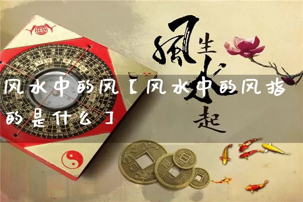 风水中的风【风水中的风指的是什么】_https://www.dao-sheng-yuan.com_生肖属相_第1张