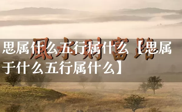 思属什么五行属什么【思属于什么五行属什么】_https://www.dao-sheng-yuan.com_风水_第1张