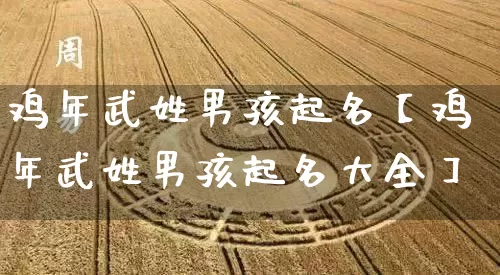 鸡年武姓男孩起名【鸡年武姓男孩起名大全】_https://www.dao-sheng-yuan.com_起名_第1张