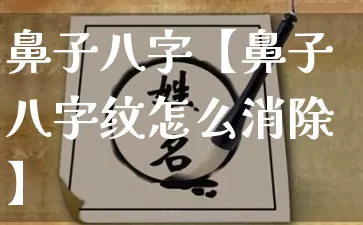 鼻子八字【鼻子八字纹怎么消除】_https://www.dao-sheng-yuan.com_风水_第1张