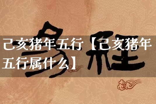 己亥猪年五行【己亥猪年五行属什么】_https://www.dao-sheng-yuan.com_算命_第1张