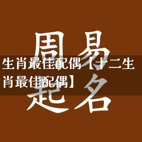 生肖最佳配偶【十二生肖最佳配偶】_https://www.dao-sheng-yuan.com_生肖属相_第1张