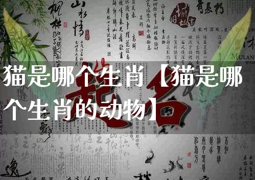 猫是哪个生肖【猫是哪个生肖的动物】_https://www.dao-sheng-yuan.com_八字_第1张