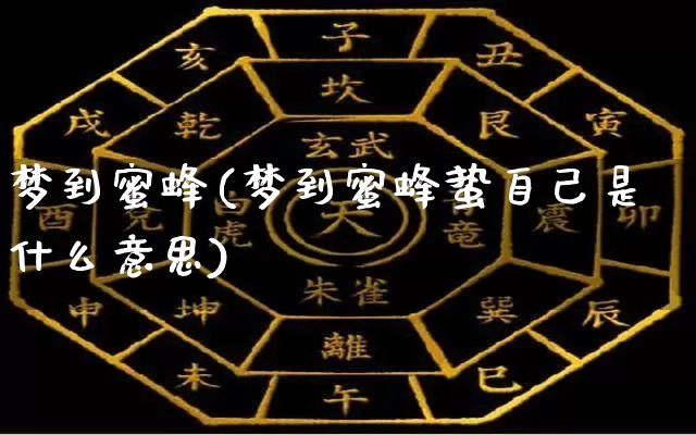 梦到蜜蜂(梦到蜜蜂蛰自己是什么意思)_https://www.dao-sheng-yuan.com_风水_第1张