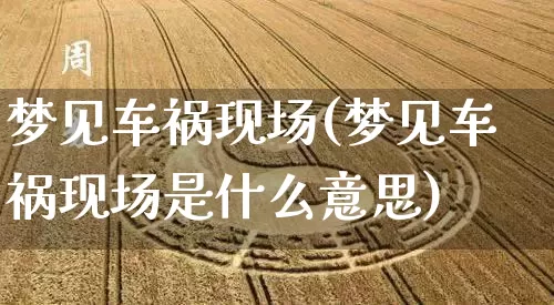 梦见车祸现场(梦见车祸现场是什么意思)_https://www.dao-sheng-yuan.com_风水_第1张