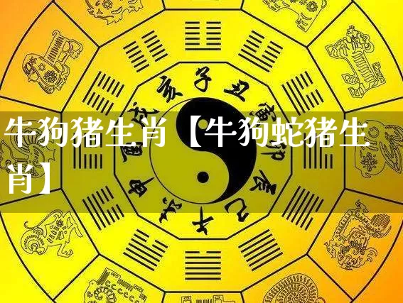 牛狗猪生肖【牛狗蛇猪生肖】_https://www.dao-sheng-yuan.com_易经_第1张