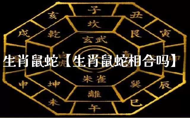生肖鼠蛇【生肖鼠蛇相合吗】_https://www.dao-sheng-yuan.com_周公解梦_第1张