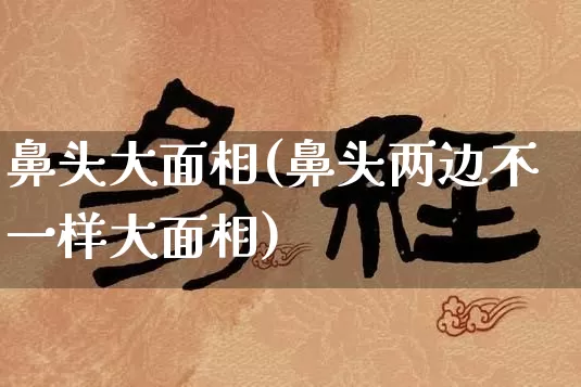 鼻头大面相(鼻头两边不一样大面相)_https://www.dao-sheng-yuan.com_十二星座_第1张