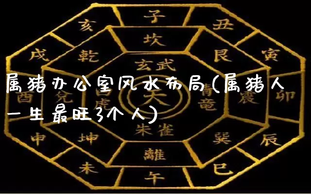 属猪办公室风水布局(属猪人一生最旺3个人)_易经_第1张_道圣缘 属猪办公室风水布局(属猪人一生最旺3个人)_https://www.dao-sheng-yuan.com_易经_第1张