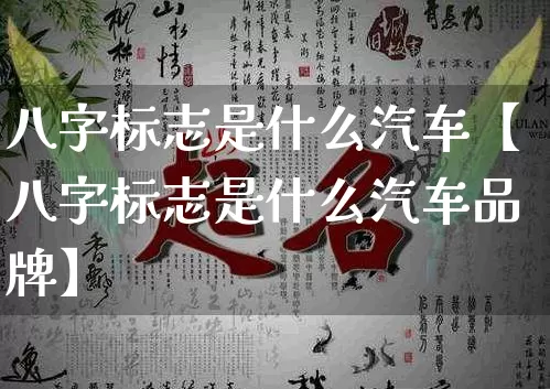 八字标志是什么汽车【八字标志是什么汽车品牌】_https://www.dao-sheng-yuan.com_生肖属相_第1张