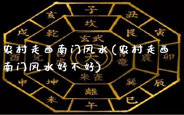 农村走西南门风水(农村走西南门风水好不好)_https://www.dao-sheng-yuan.com_风水_第1张