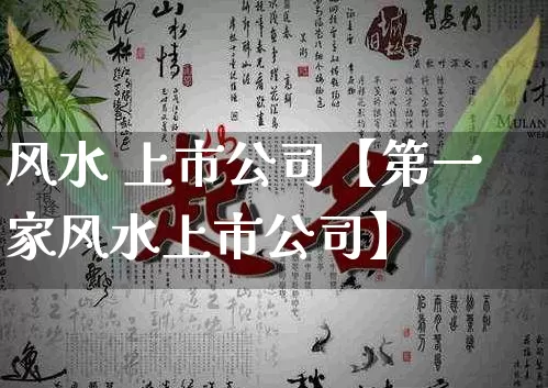 风水 上市公司【第一家风水上市公司】_https://www.dao-sheng-yuan.com_起名_第1张