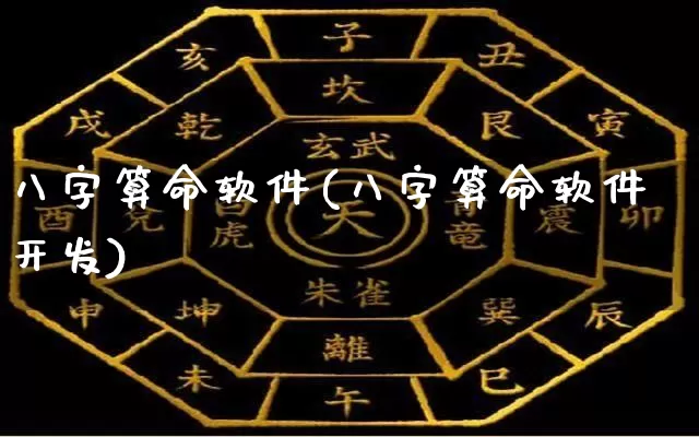 八字算命软件(八字算命软件开发)_https://www.dao-sheng-yuan.com_周公解梦_第1张