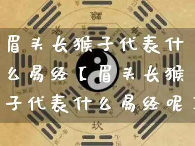 眉头长猴子代表什么易经【眉头长猴子代表什么易经呢】_易经_第1张_道圣缘 眉头长猴子代表什么易经【眉头长猴子代表什么易经呢】_https://www.dao-sheng-yuan.com_易经_第1张