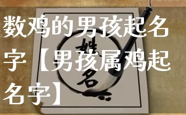数鸡的男孩起名字【男孩属鸡起名字】_https://www.dao-sheng-yuan.com_起名_第1张