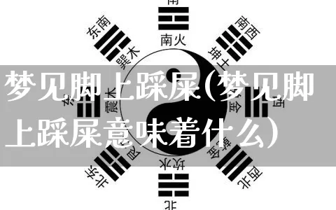 梦见脚上踩屎(梦见脚上踩屎意味着什么)_https://www.dao-sheng-yuan.com_周公解梦_第1张