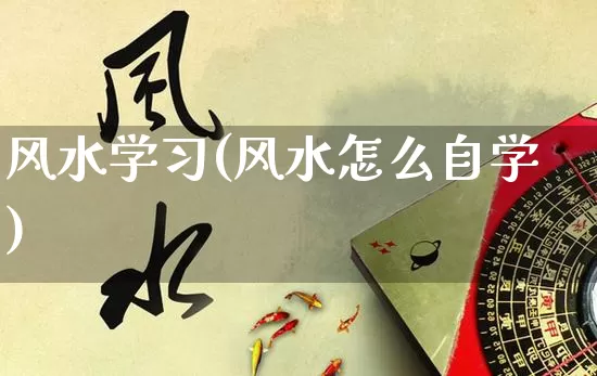 风水学习(风水怎么自学)_https://www.dao-sheng-yuan.com_周公解梦_第1张