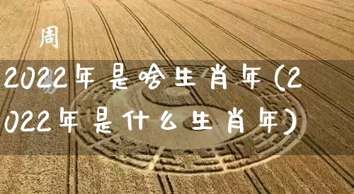 2022年是啥生肖年(2022年是什么生肖年)_https://www.dao-sheng-yuan.com_风水_第1张