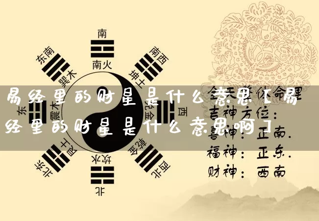 易经里的财星是什么意思【易经里的财星是什么意思啊】_https://www.dao-sheng-yuan.com_十二星座_第1张