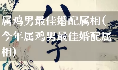 属鸡男最佳婚配属相(今年属鸡男最佳婚配属相)_https://www.dao-sheng-yuan.com_五行_第1张